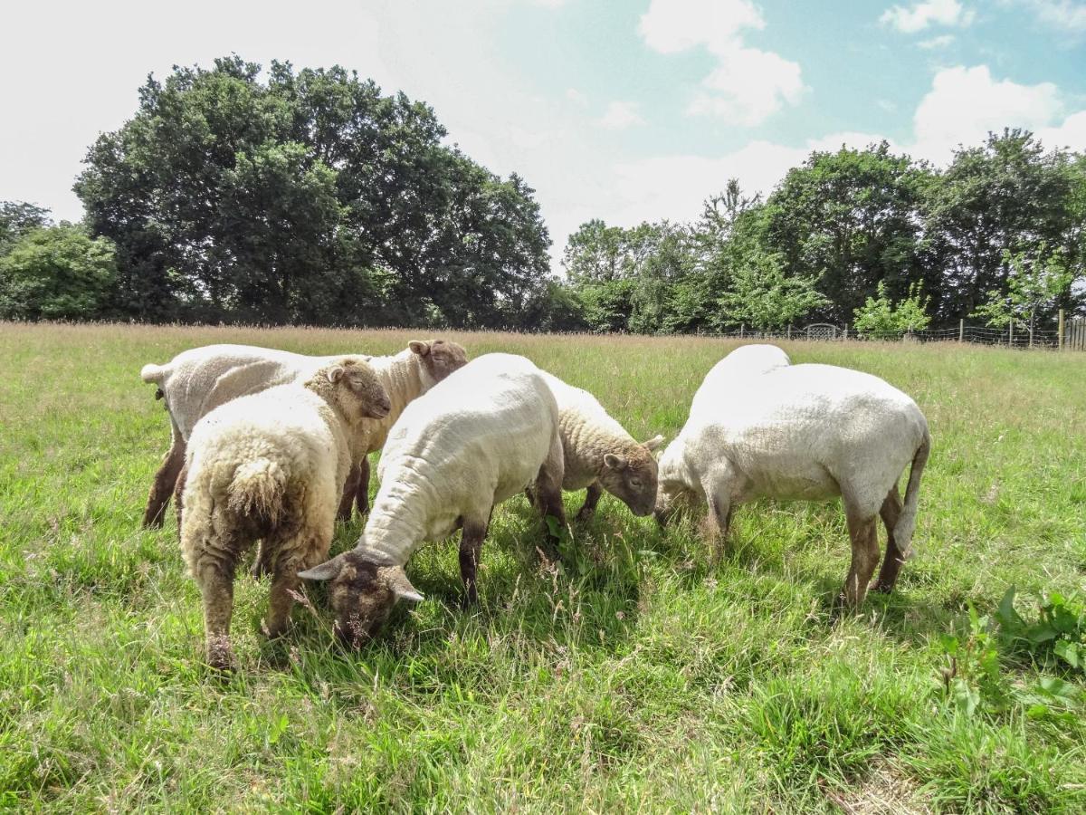 הוילה Plymtree The Milk Shed מראה חיצוני תמונה